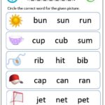 CVC word worksheet for 'cat', 'dog', and 'sun'