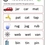 CVC word worksheet for 'car', 'dog', and 'sun'