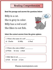 Reading Comprehension 1c