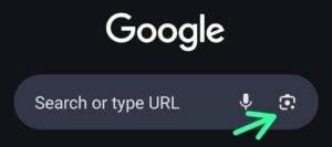 Google Lens Embedded in Chrome