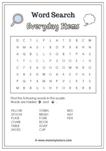 Word Search - Everyday Items